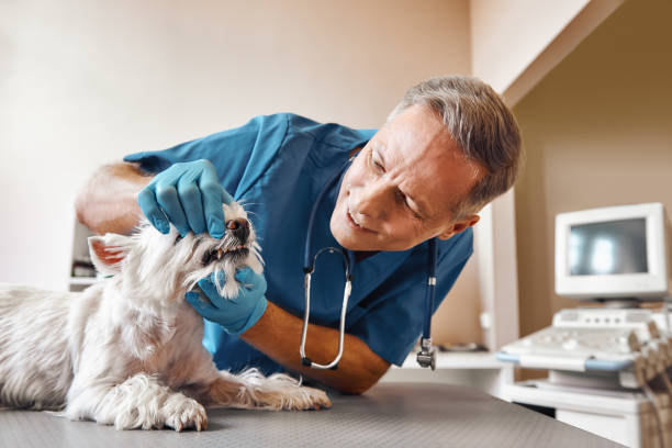 Best Emergency Tooth Extraction in Benton Heights, MI