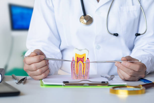 Best Emergency Orthodontic Repairs in Benton Heights, MI
